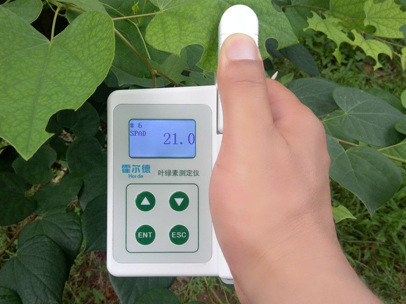 葉綠素含量測定儀具備哪些功能特點(diǎn)？