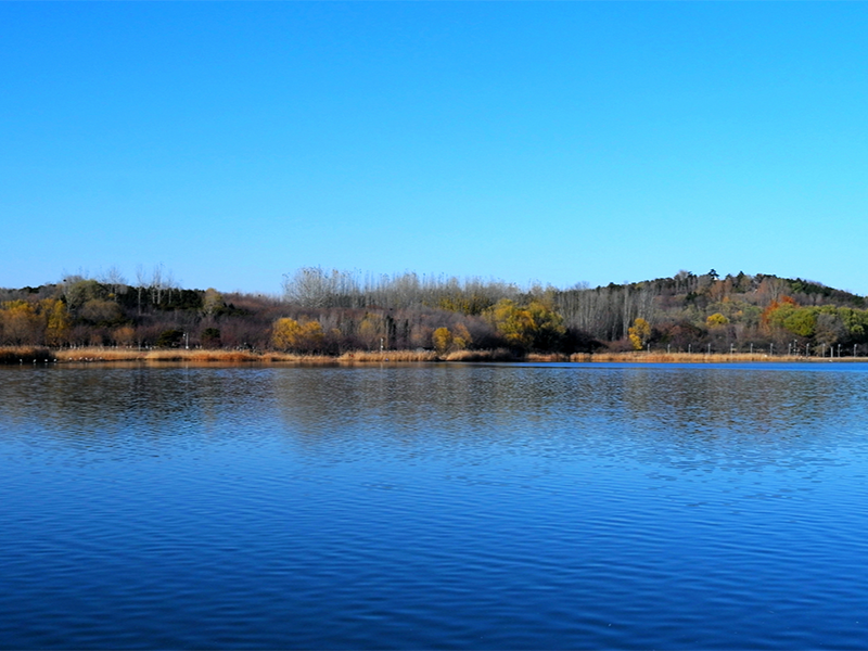 水質(zhì)檢測(cè)儀器價(jià)格（水質(zhì)檢測(cè)儀器大概多少錢）