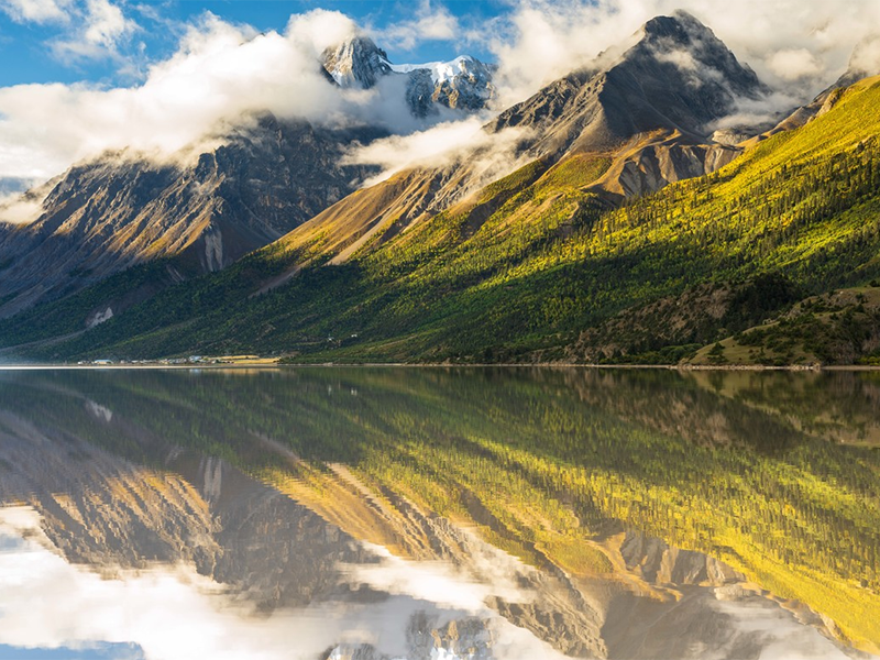 生物毒性檢測儀價(jià)格（毒性物質(zhì)的判斷標(biāo)準(zhǔn)）