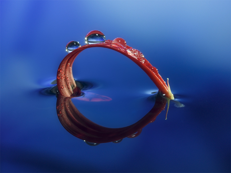 總氮檢測儀使用方法（北京總氮檢測儀哪家強(qiáng)）