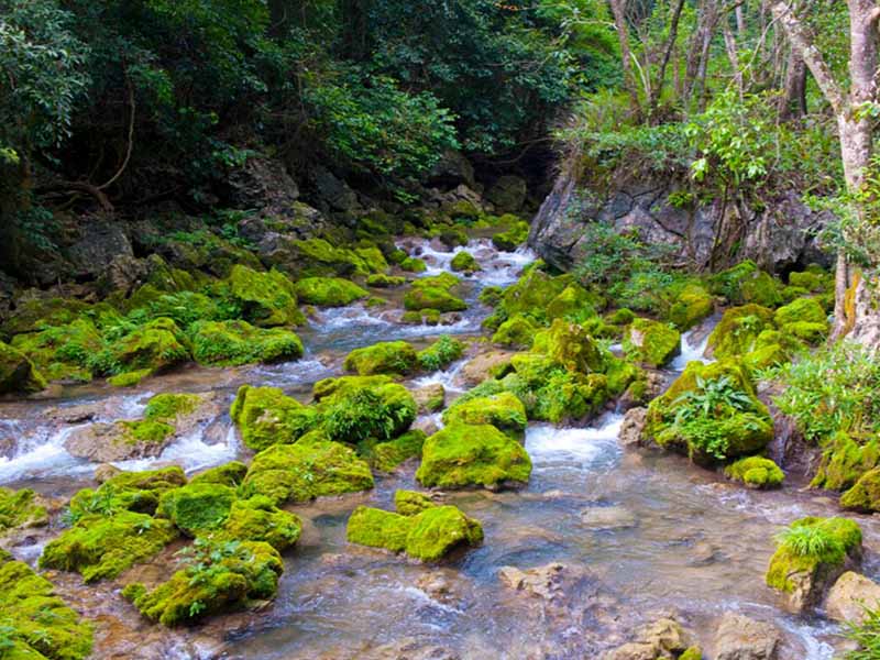 消毒劑的國家標(biāo)準(zhǔn)