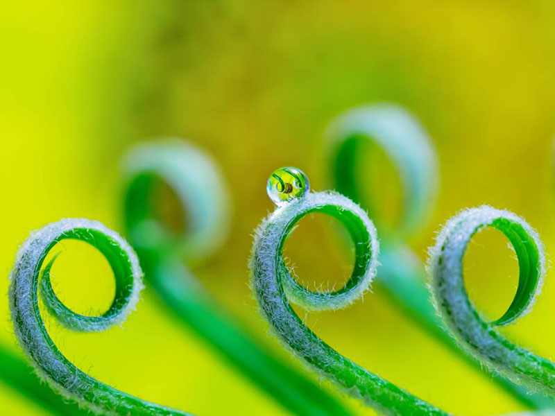 余氯、總氯、有效氯有什么區(qū)別（水質(zhì)余氯是什么意思）