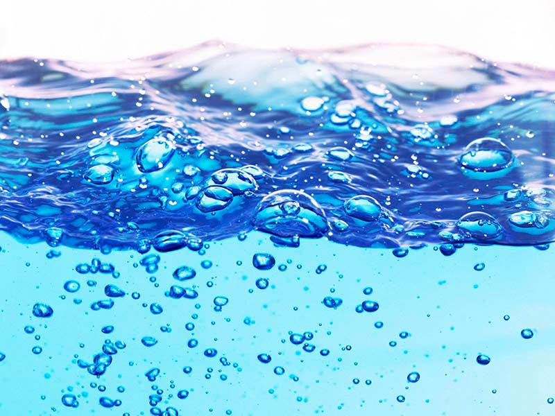 海洋生物水質(zhì)基準(zhǔn)推導(dǎo)技術(shù)指南解讀（海洋生物水質(zhì)基準(zhǔn)推導(dǎo)技術(shù)新要求）