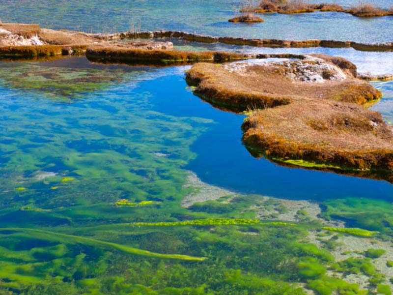 水質(zhì)總氮在線分析儀誤差分析(總氮在線分析儀檢測(cè)原理)