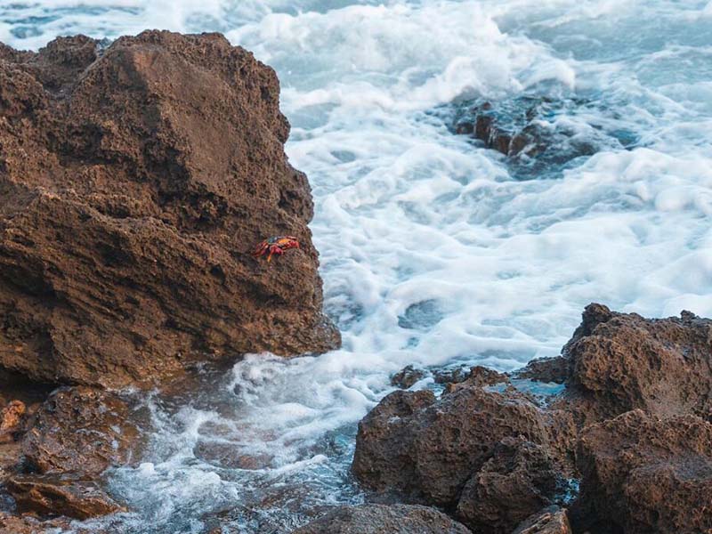 如何驗證水質(zhì)測定儀的性能