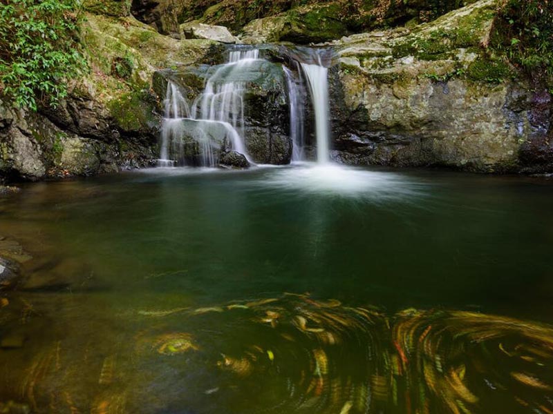 5參數(shù)水質(zhì)檢測儀可以檢測哪些參數(shù)