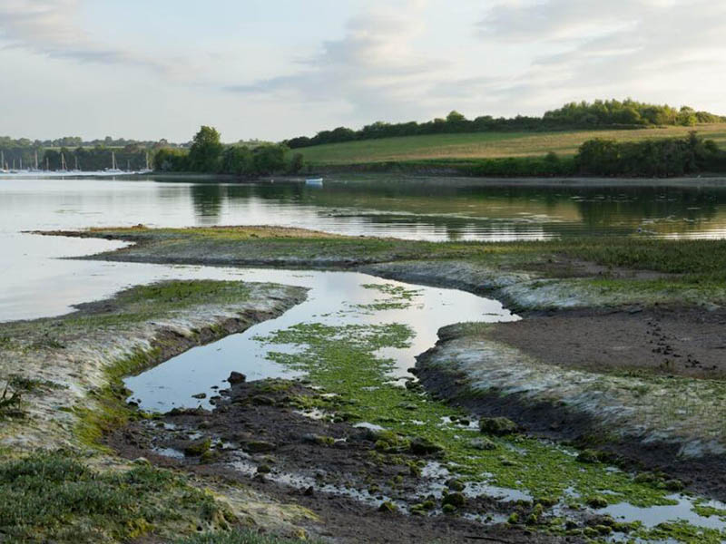 【統(tǒng)計】生態(tài)環(huán)境部公布2024年1—3月全國地表水環(huán)境質(zhì)量狀況