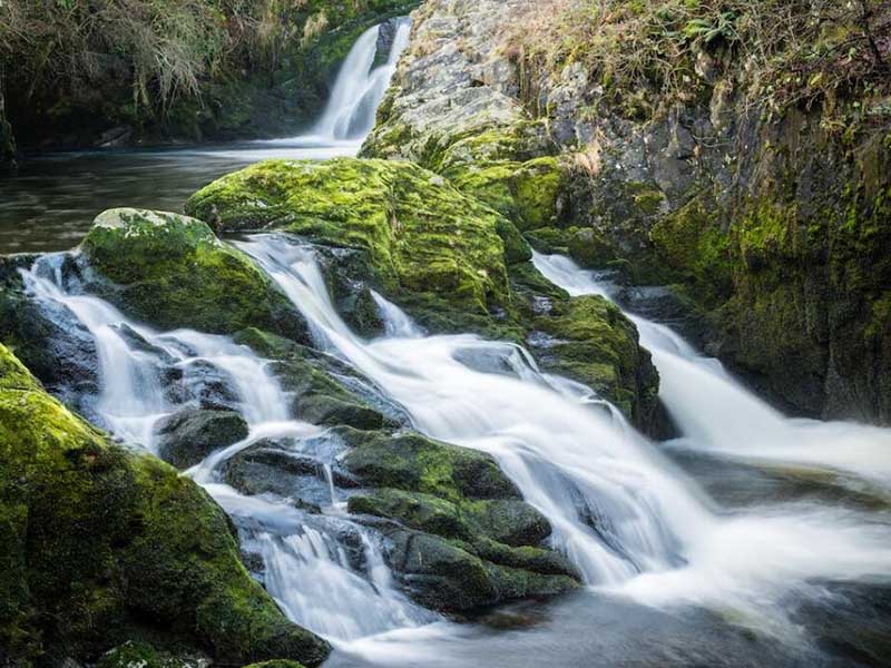 余氯在線監(jiān)測(cè)儀的使用要求