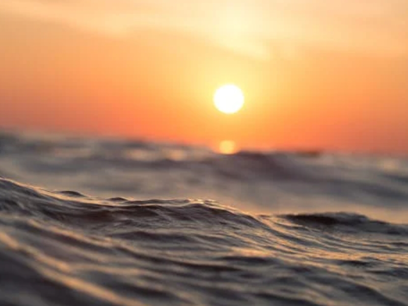 水產(chǎn)氨氮含量對養(yǎng)殖的重要性(?怎樣降低水塘氨氮含量)