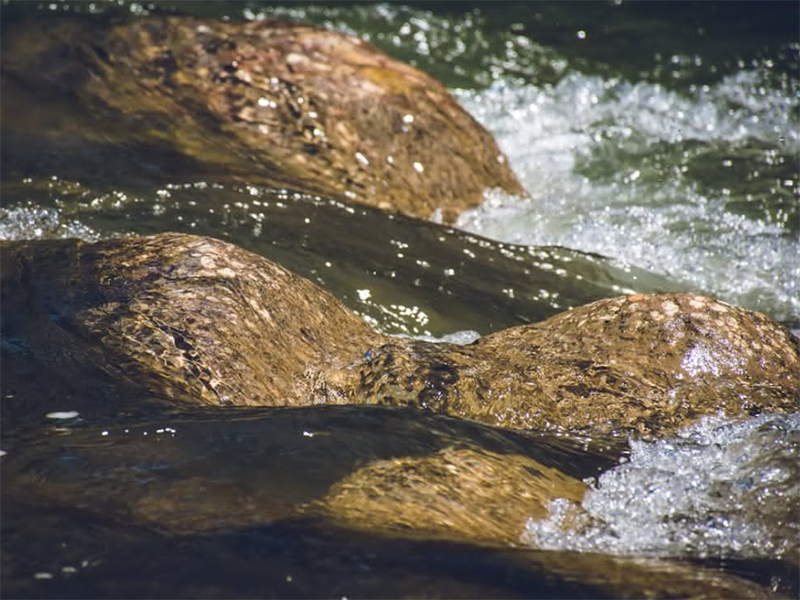 CODcr檢測(cè)儀設(shè)計(jì)依據(jù)(CODcr檢測(cè)儀應(yīng)用場(chǎng)景)