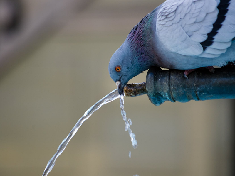 二次供水升級(jí)中水質(zhì)監(jiān)測(cè)設(shè)備的作用