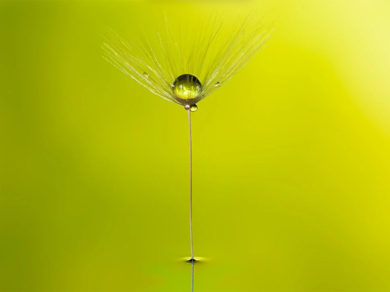 在線氨氮分析儀檢定規(guī)程