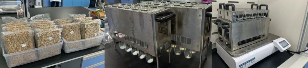 大豆及飼料原料蛋白質(zhì)檢測