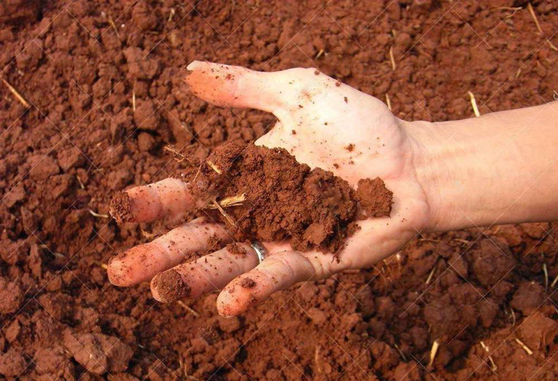 土壤墑情監(jiān)測(cè)儀