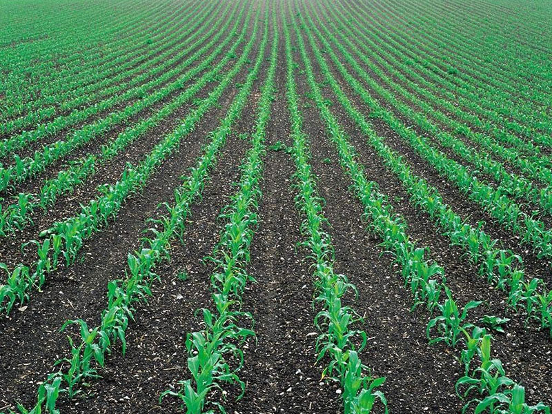 土壤墑情監(jiān)測儀，為實(shí)現(xiàn)節(jié)水增糧奠定基礎(chǔ)