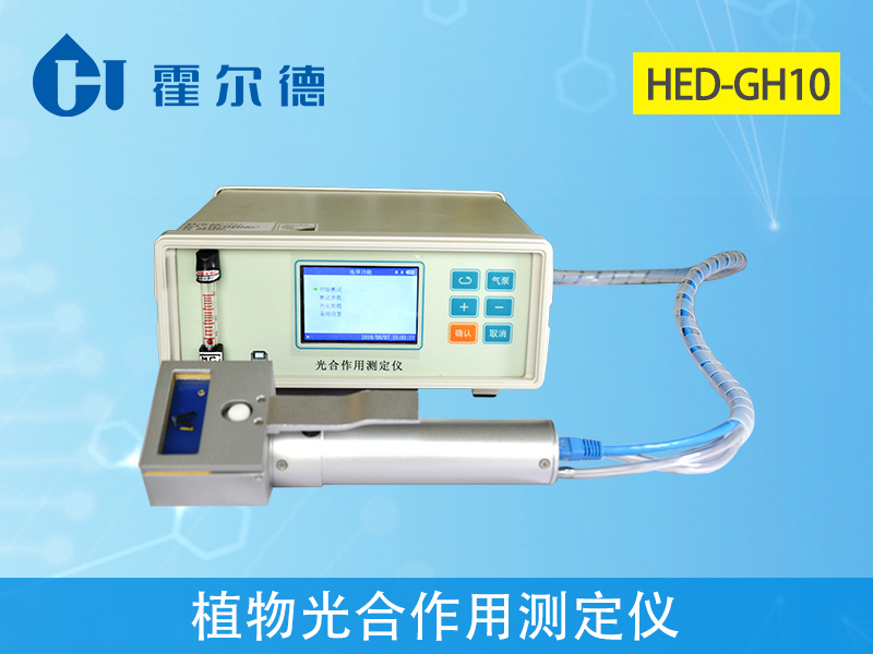 種植玉米百合，光照要合適