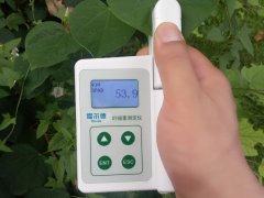 葉綠素含量測(cè)定儀，即時(shí)測(cè)量植物的綠色程度