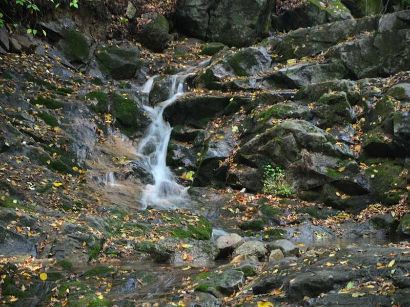 霍爾德余氯分析儀，可用于水源保護工作