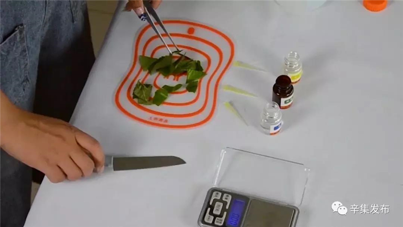 辛集市58所學校配備農(nóng)藥殘留檢測儀 辛集市58所學校配備農(nóng)藥殘留檢測儀